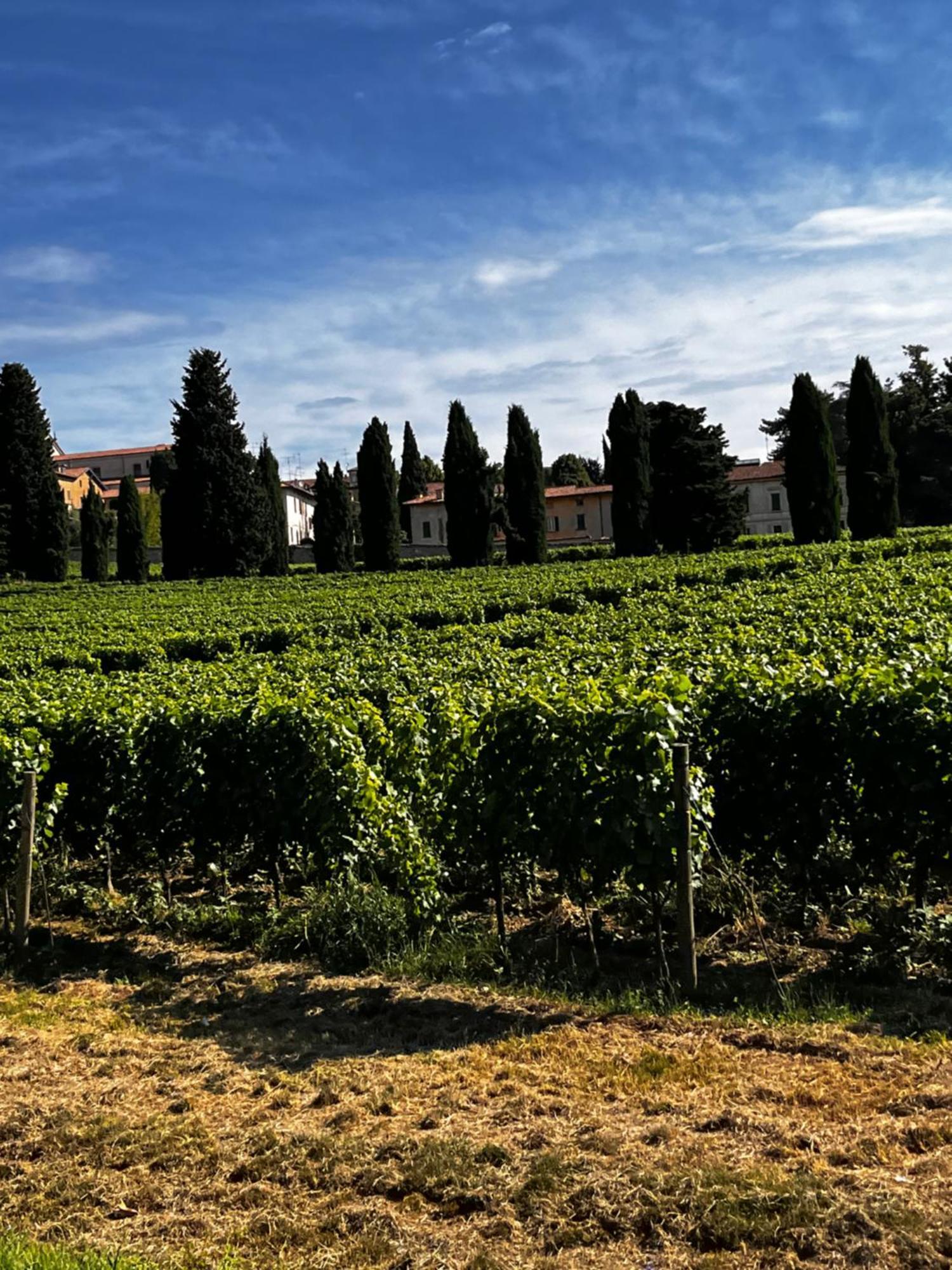 Anna Appartamento Vacanze Monticelli Brusati Εξωτερικό φωτογραφία